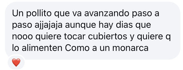 ALIMENTACION COMPLEMENTARIA